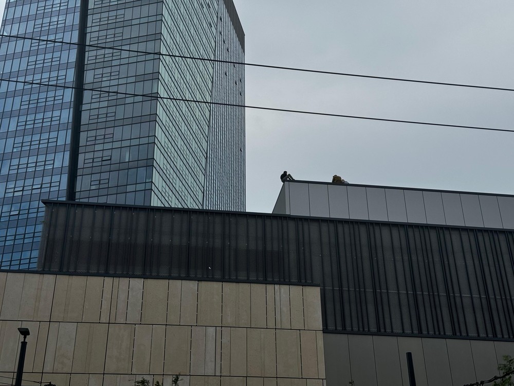 WhatsApp Image 2024-08-21 at 13.19.33