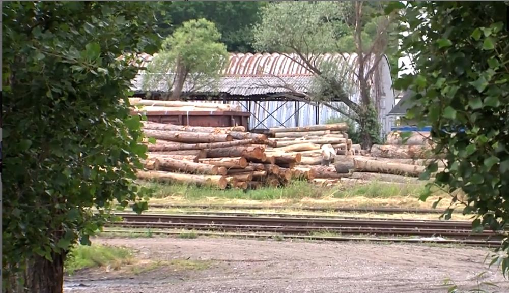Lesy v národnom parku