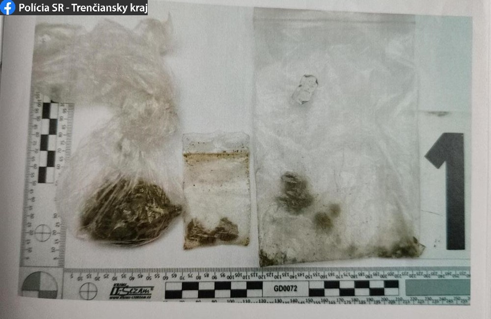 Nadrogovaný vodič tancoval v lese