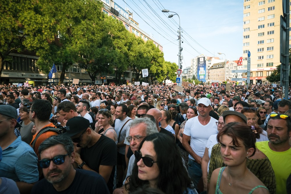 protesty ps za kulturu (21)