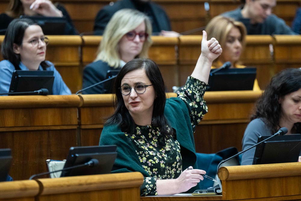 Schôdza parlamentu k návrhom na vyslovenie nedôvery siedmim ministrom