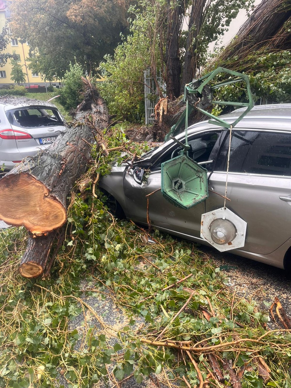 WhatsApp Image 2024-09-15 at 10.55.41 (1)