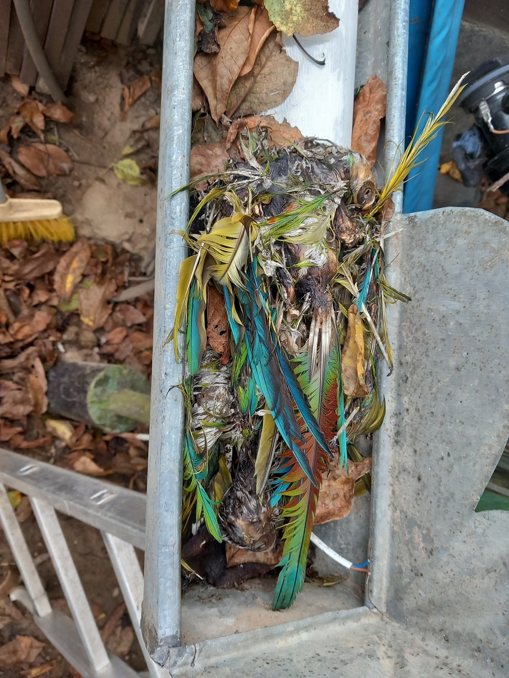 406050295_741020084730229_6890373110110795749_n