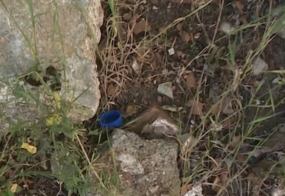 Screenshot 2024-05-17 174403