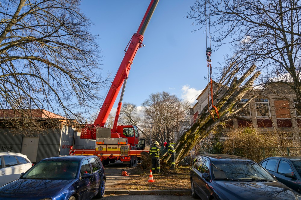 Bratislava škody strom vietor vichrica (1)