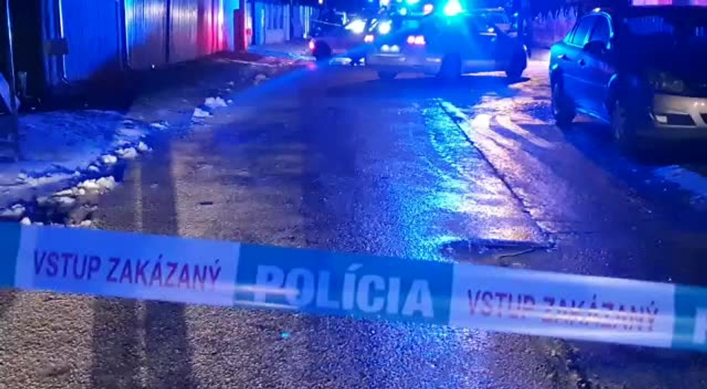 [multi] Rukojemníčka v jarovciach 16006