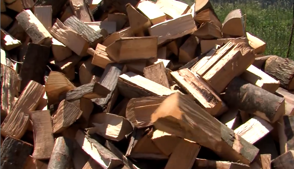 Lesy v národnom parku