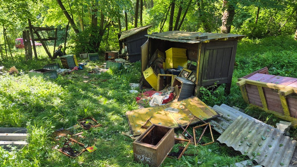 Medveď zničil úle (3)