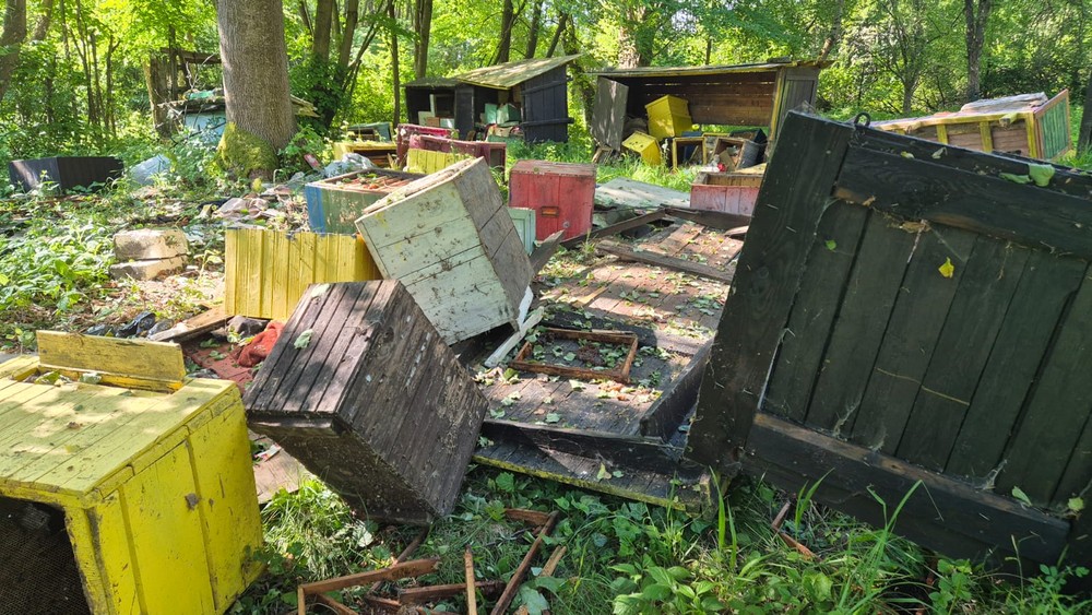 Medveď zničil úle (5)