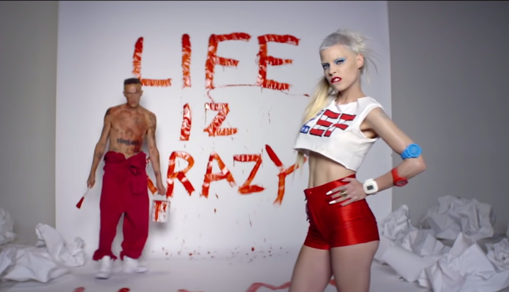 Die Antwoord