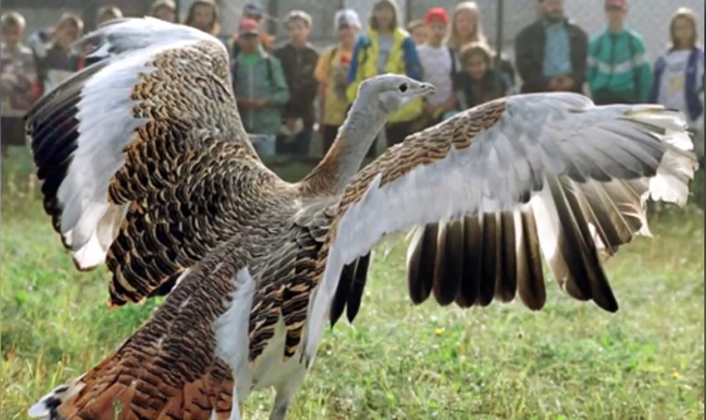 Centrum pre zmenu klímy