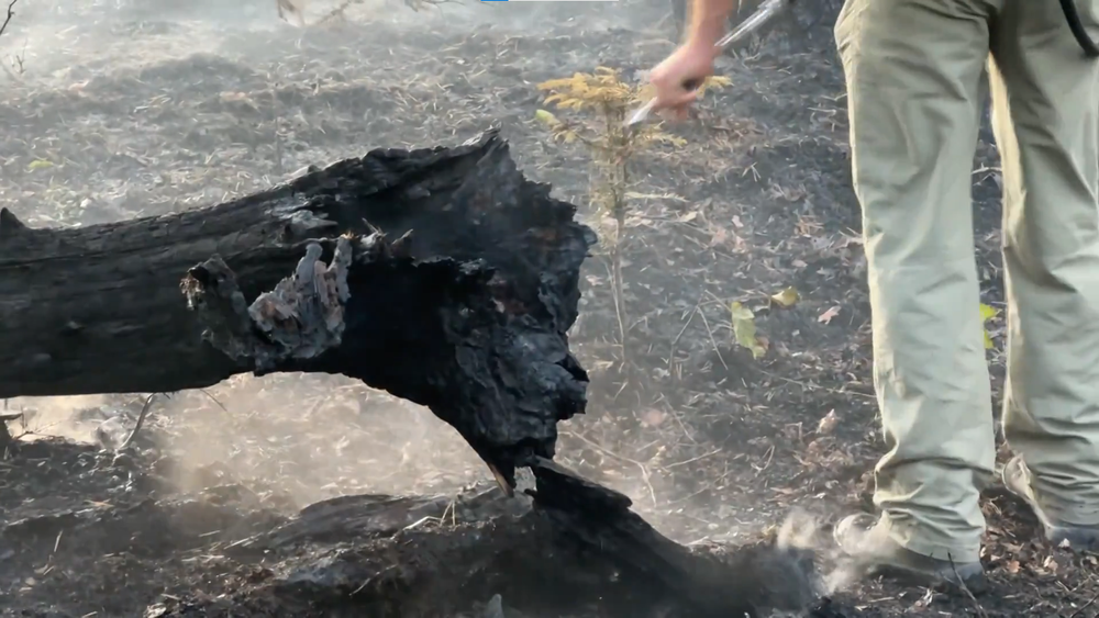 Požiar v Slovenskom raji