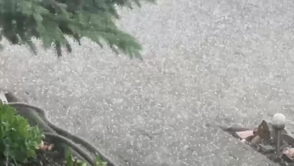 [multi] burka krupy galanta 9985