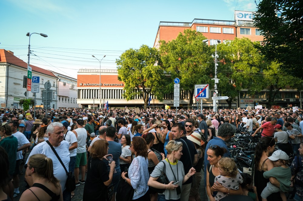 protesty ps za kulturu (22)