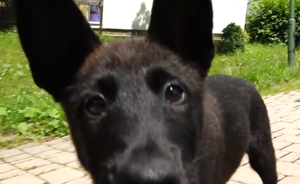 Screenshot 2024-07-27 093720