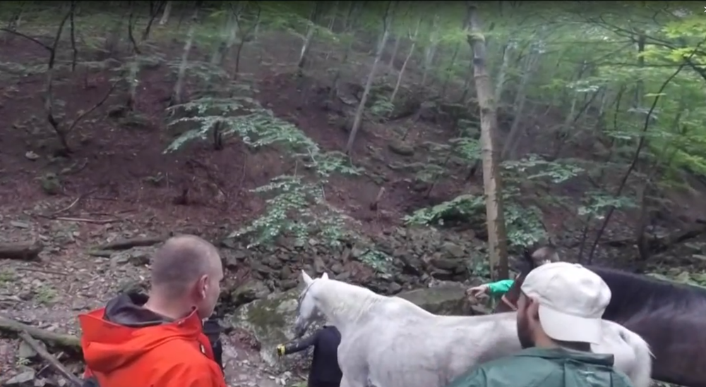 Horskí záchranári takúto akciu ešte nezažili. V Malej Fatre zachraňovali jazdecké kone