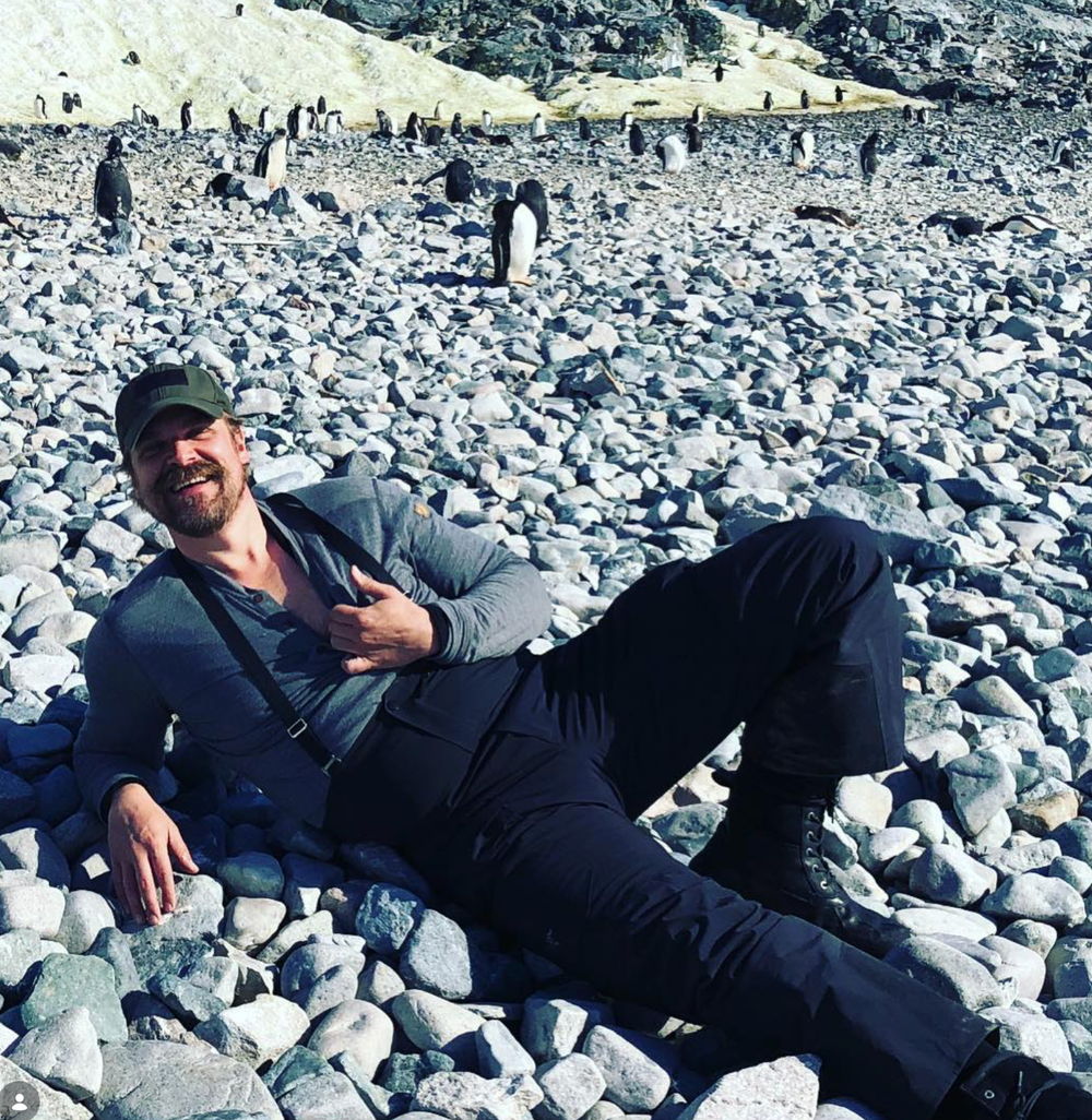 David Harbour