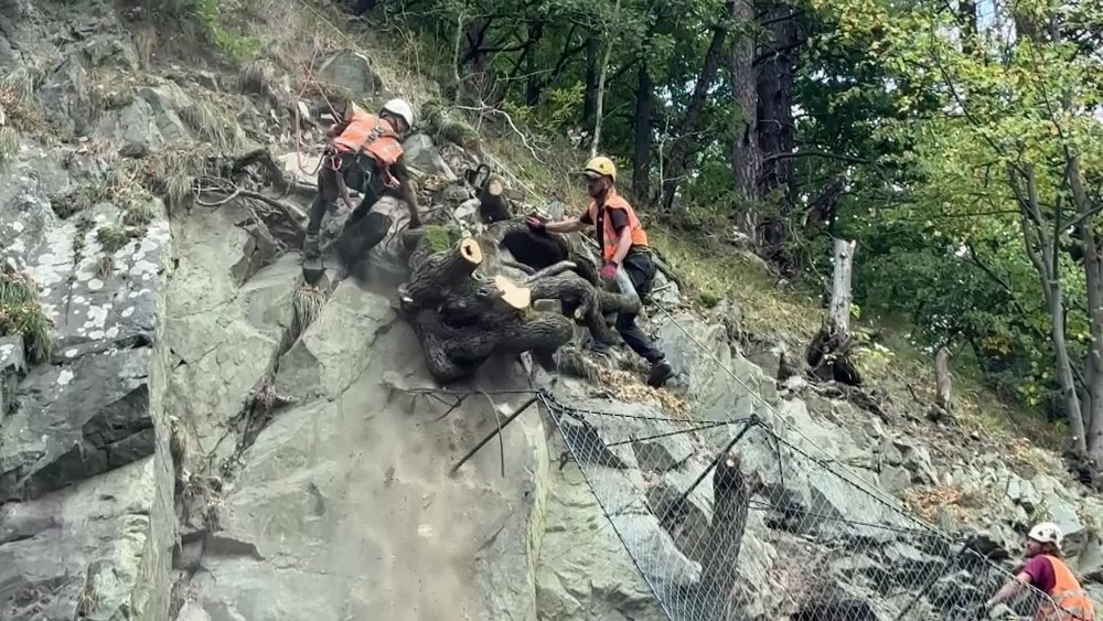 [multi] 090624AYC 4721