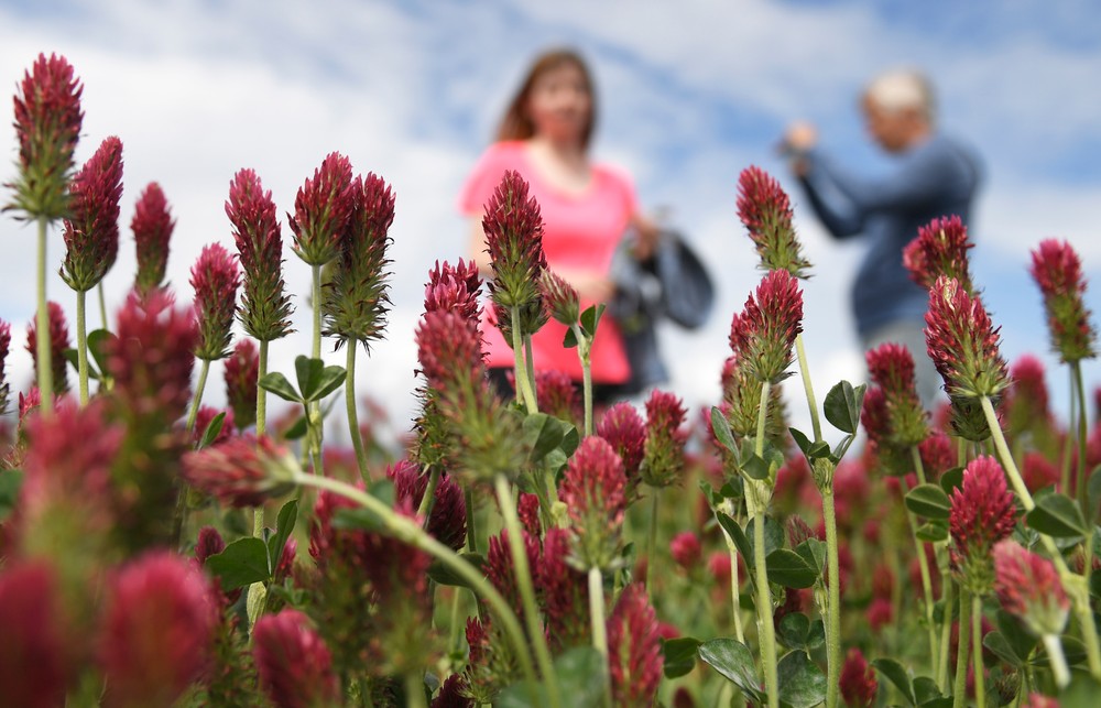 pole07_25_5_2024045914