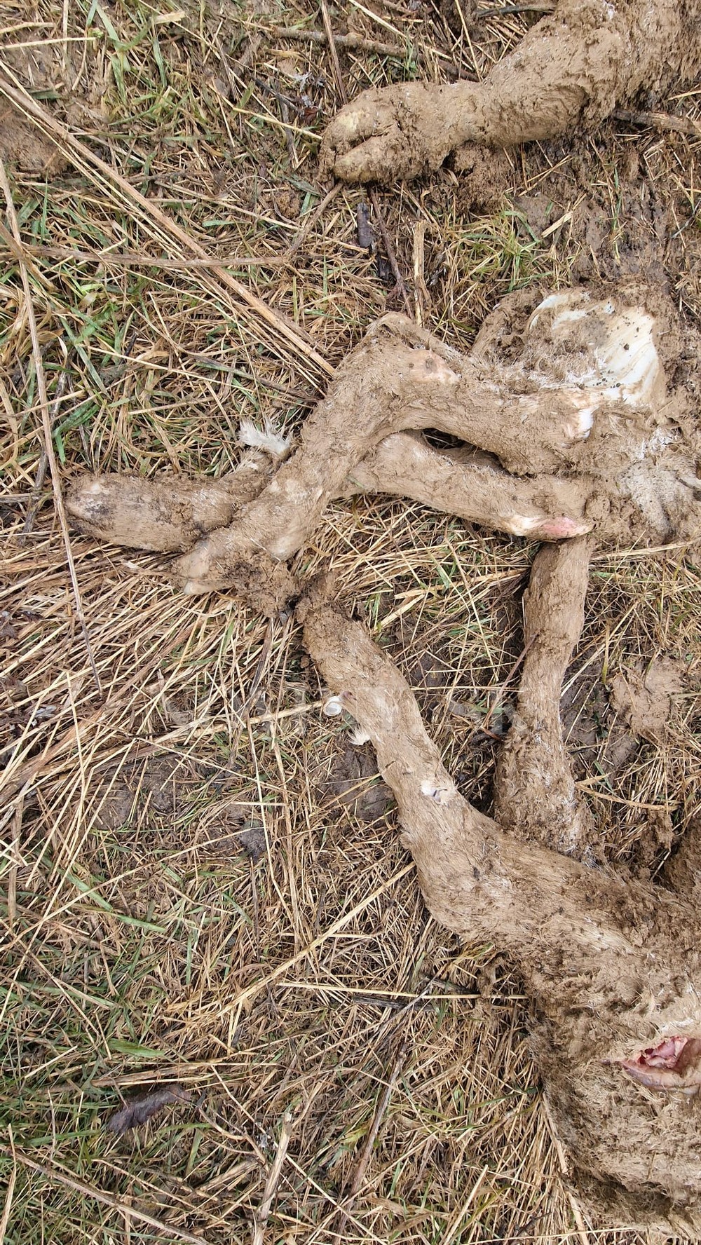 WhatsApp Image 2023-03-07 at 10.18.04 (1)