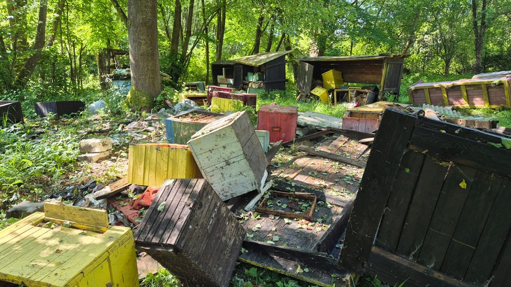 Medveď zničil úle (4)