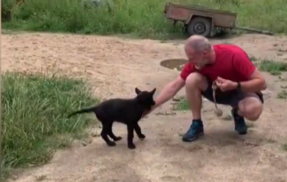 Screenshot 2024-07-27 093853