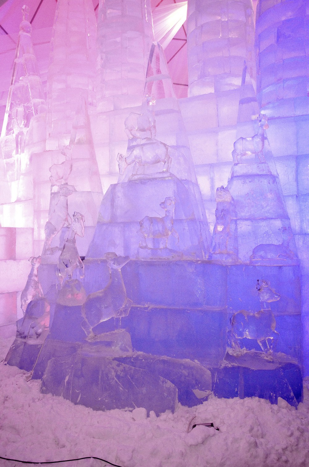 Ľadový dom 14