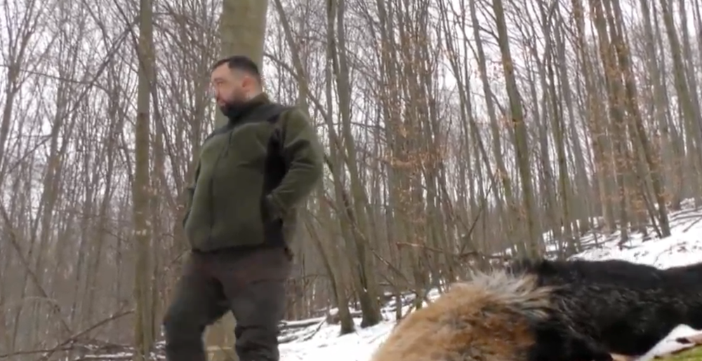 Zastrelené psy v Snine