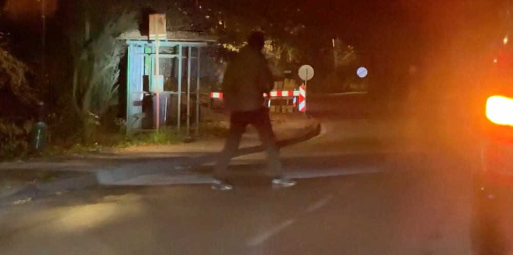 Hľadanie medveďa 2