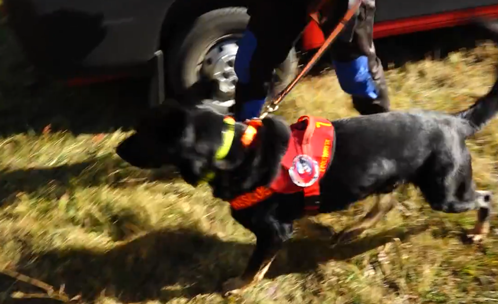 Screenshot 2024-07-27 093954