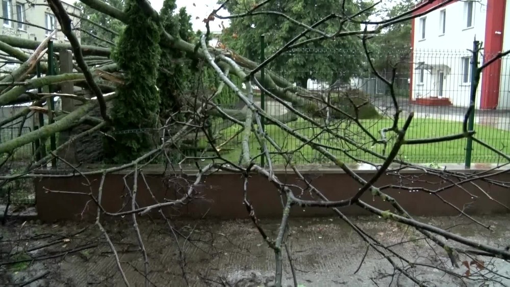 Silná búrka polámala stromy