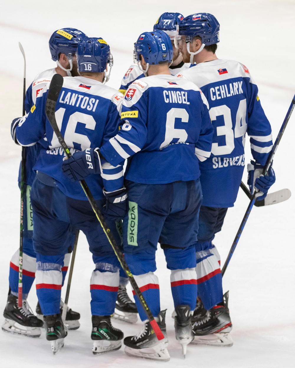 Slovensko vs Česko (2)