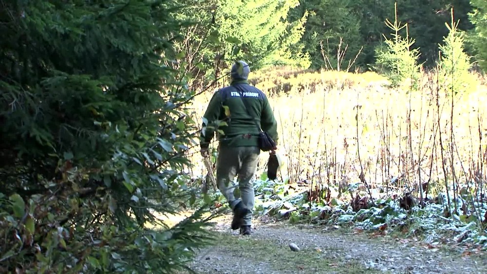 [multi] Strazcovia prirody 9419