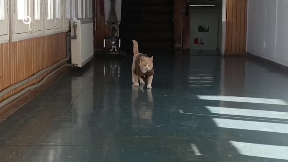 [multi] 082325AFP 7037