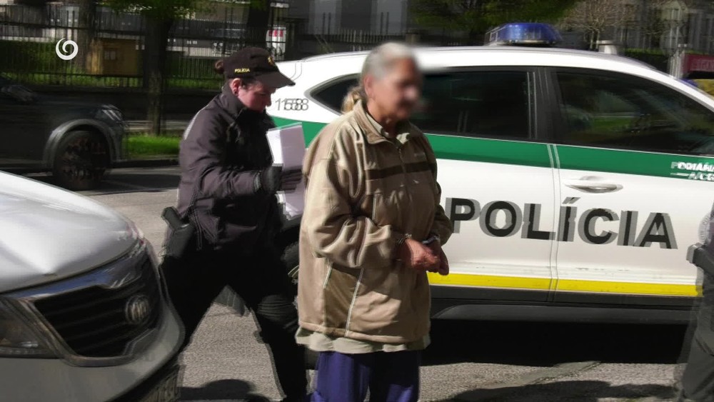 [multi] 041925QJS 11308