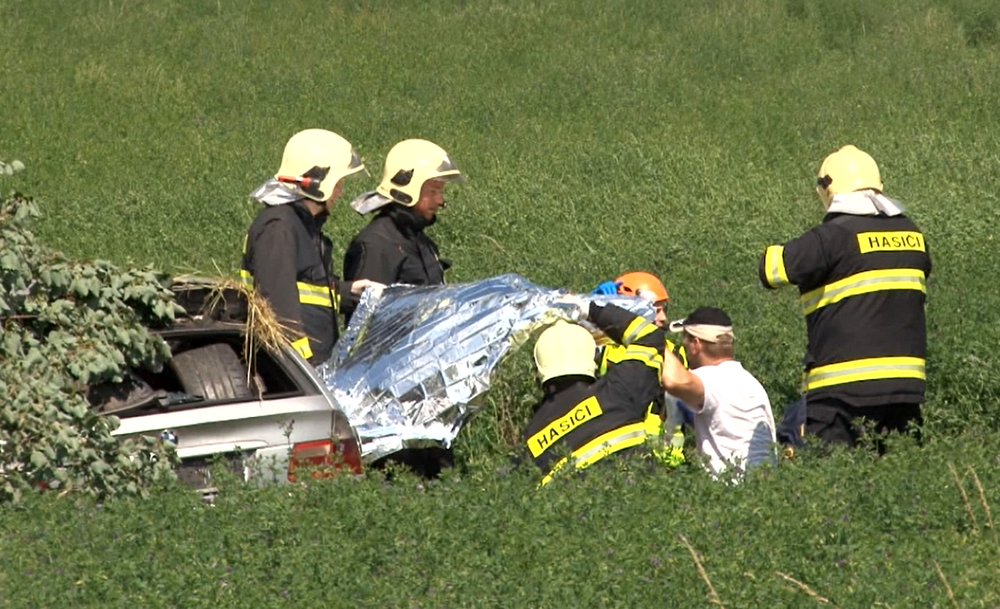 Pri silnom náraze vyvrátilo strom aj s koreňmi