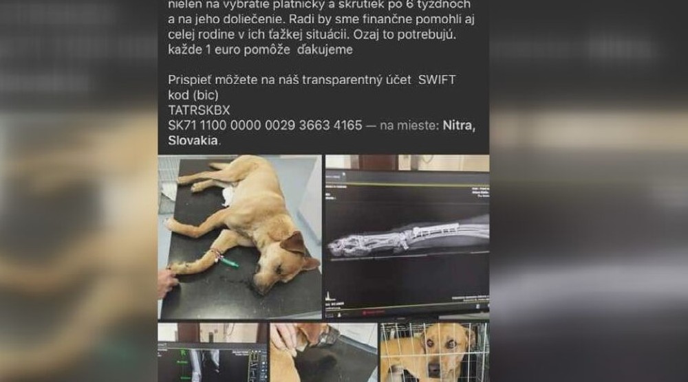 KN Zneuzite tyrane zvierata (2)