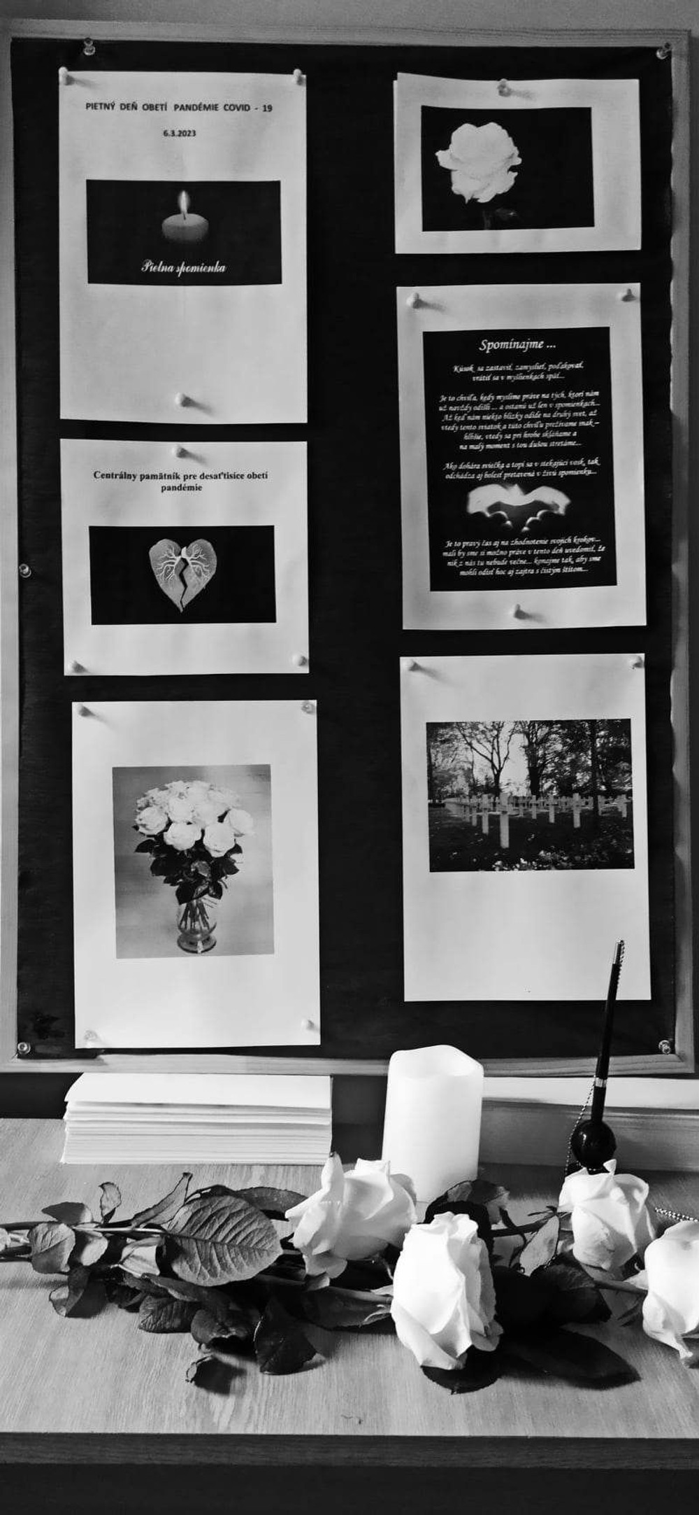 334546726_713632323782894_2896680539856737494_n