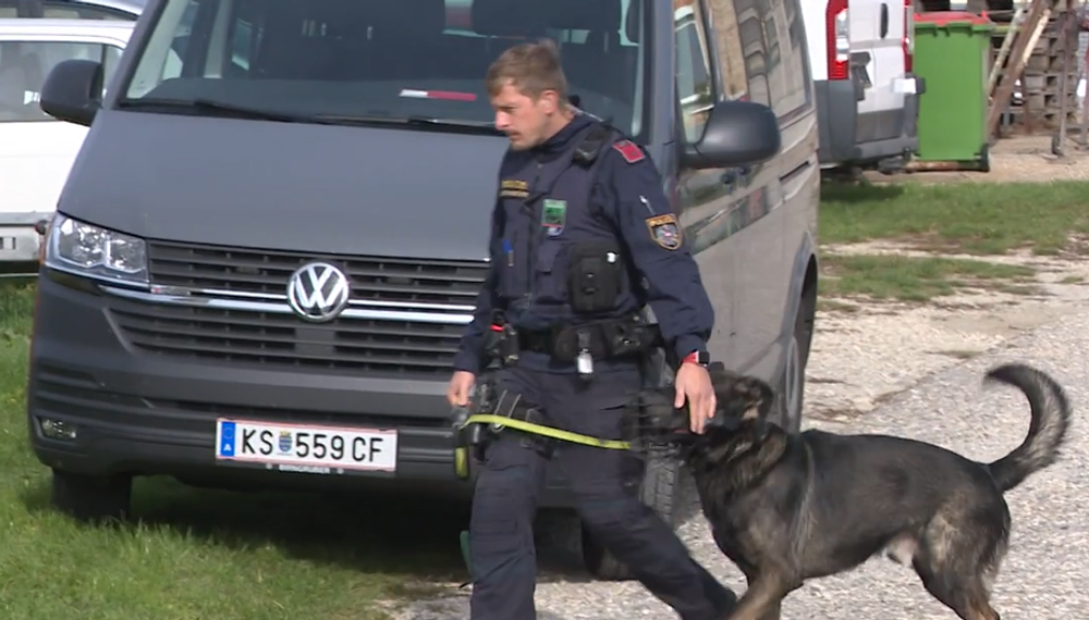 Vražda v Rakúsku 3 