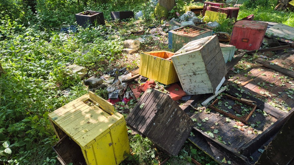 Medveď zničil úle (7)