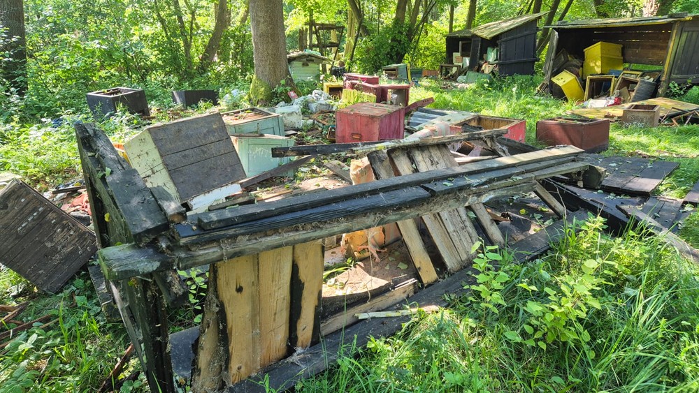 Medveď zničil úle (8)