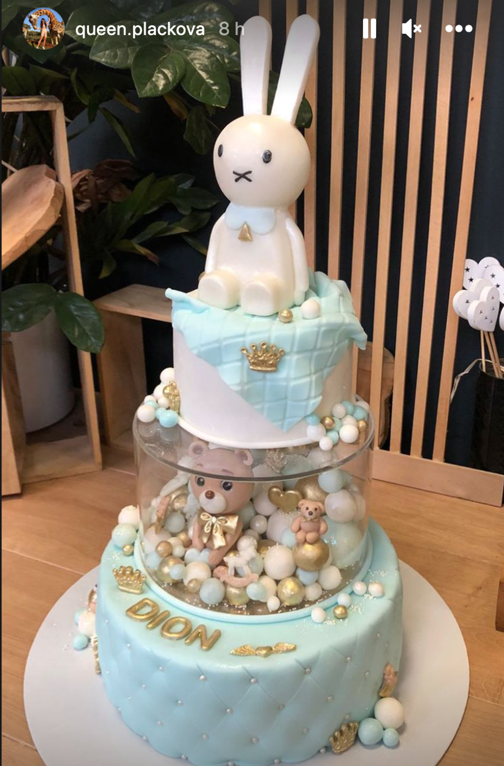 Svadba a krst Plačkovej syna