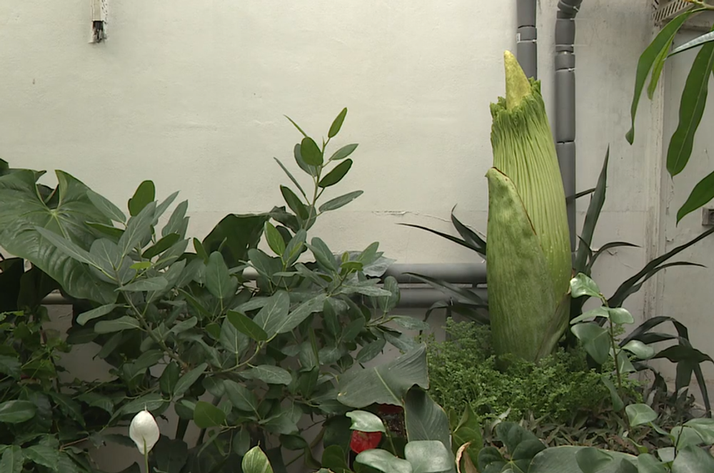 Screenshot 2024-07-27 083850