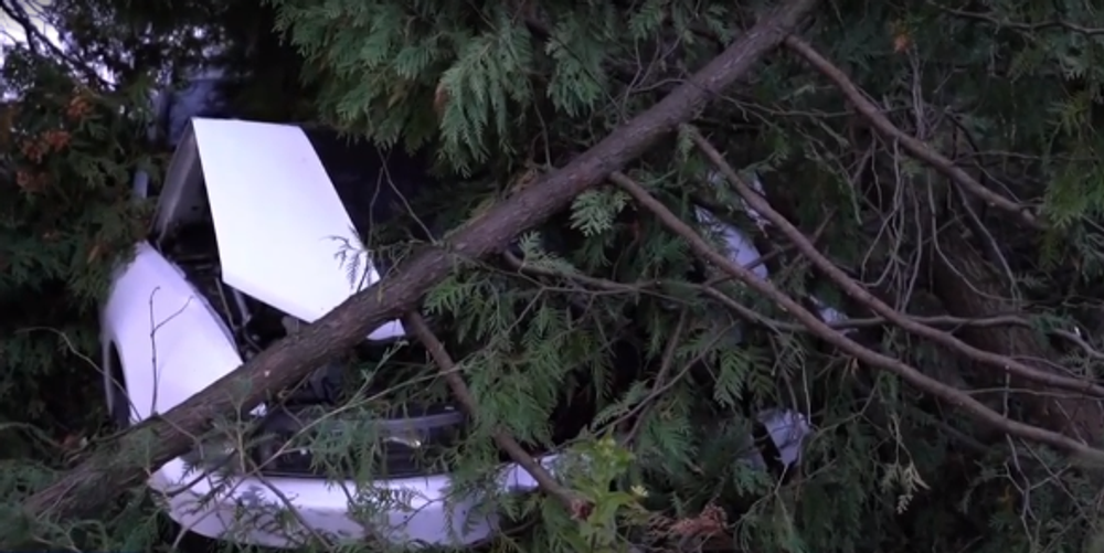 Po rýchlej jazde skončil v záhrade domu. Zastavili ho až stromy