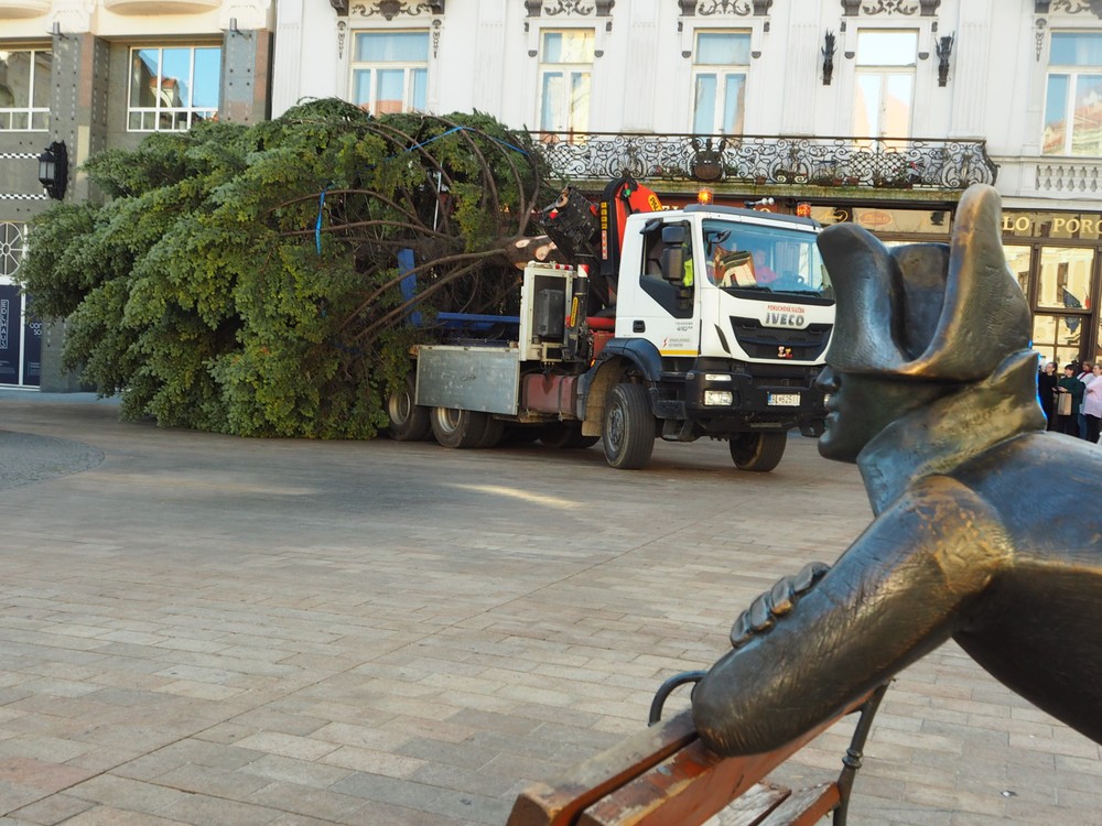 Osadzovanie vianočného stromčeka na Hlavnom námestí v Bratislave