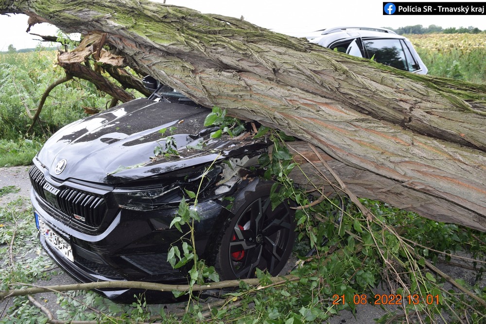 Na auto spadol počas jazdy strom