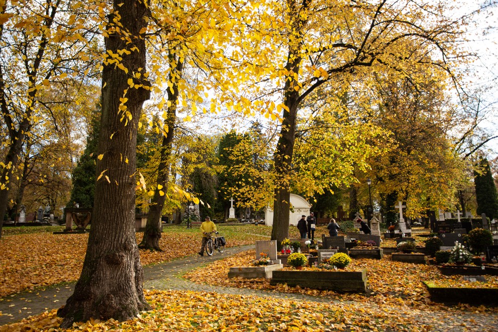 dušičky cintorín jeseň Národný cintorín Martin (6)