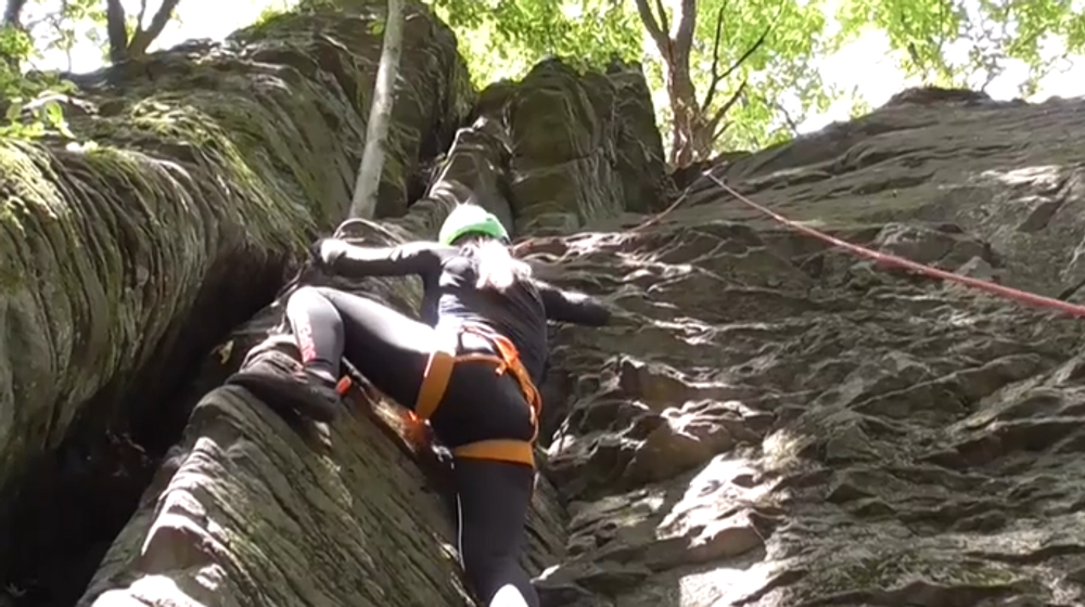 Screenshot 2024-08-11 090504