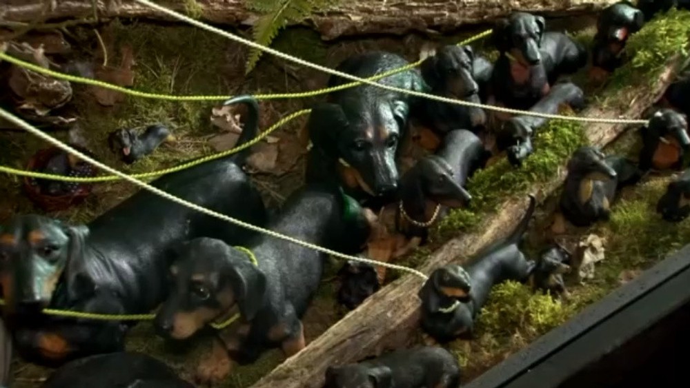 Múzeum jazvečíkov