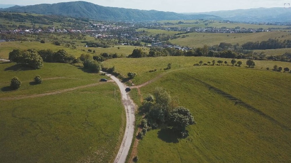 Hubára napadol medveď (6)